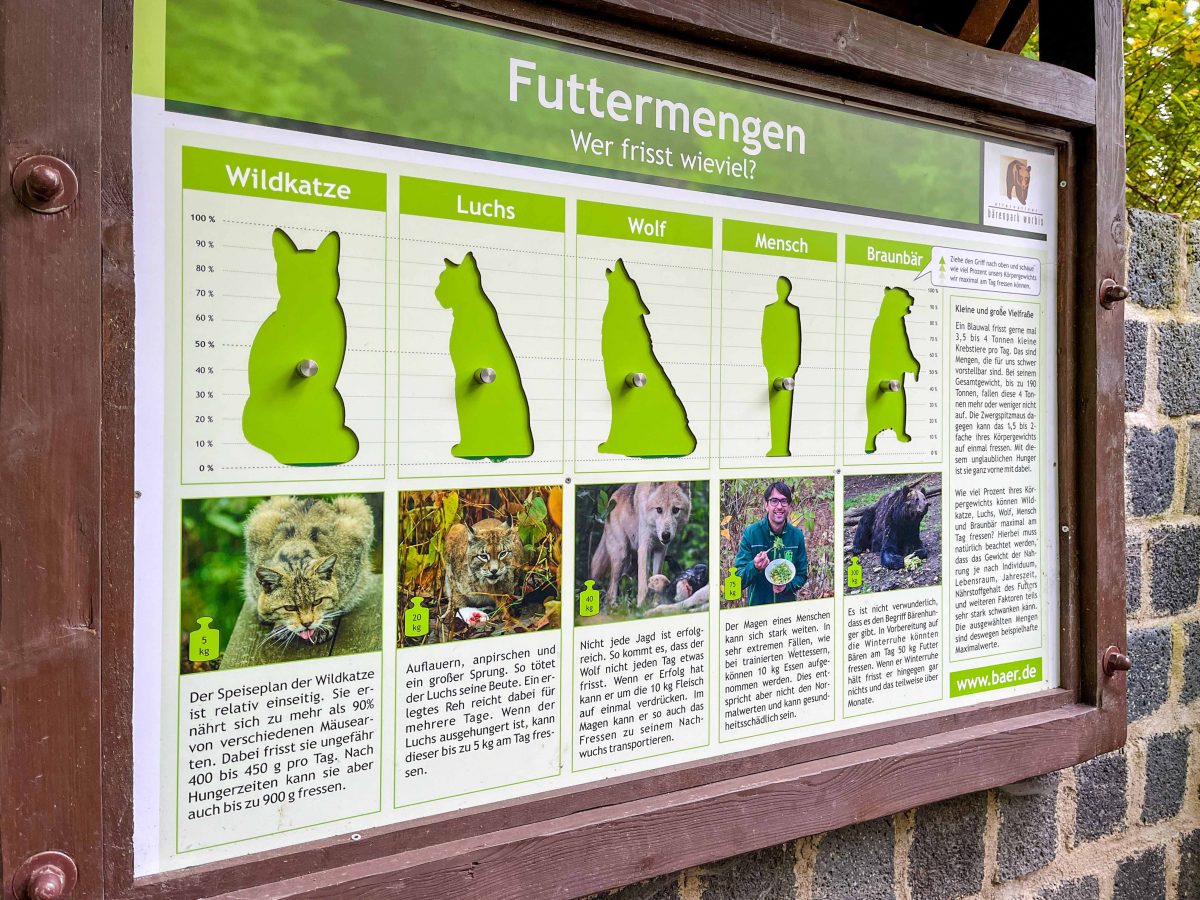 baerenpark worbis interaktive informationstafel futtermengen seitlich