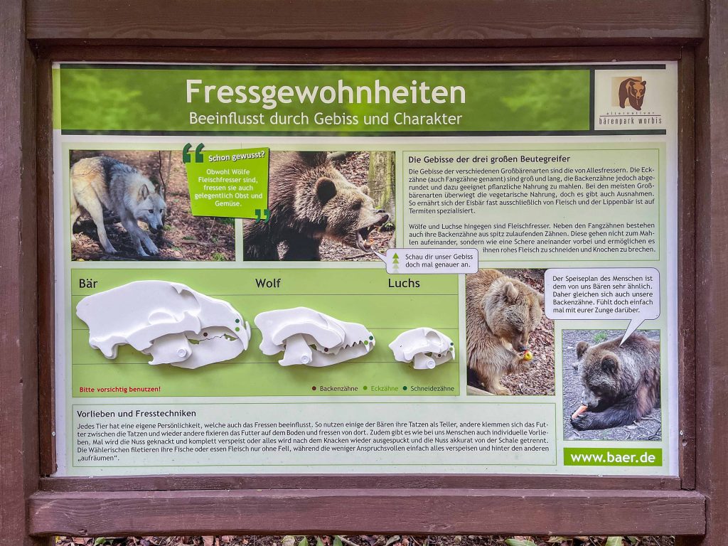 baerenpark worbis interaktive informationstafel fressgewohnheiten frontal